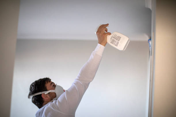  Buchanan Dam, TX Mold Removal Pros