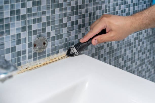 Best Mold Removal Company Near Me  in Buchanan Dam, TX