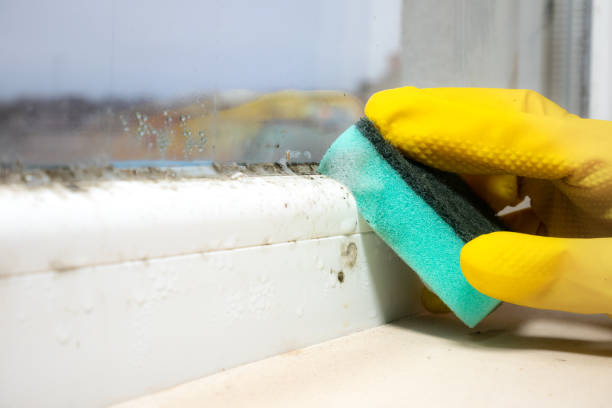 Best Mold Cleaning Services  in Buchanan Dam, TX