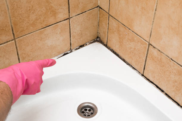 Best Fast Mold Removal  in Buchanan Dam, TX